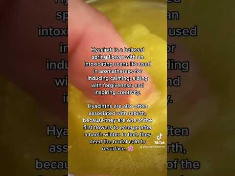 A video on the hyacinth flower that says, "Hyacinth is a beloved spring flower with an intoxicating scent. It's used in aromatherapy for inducing calming, aiding with forgiveness, and inspiring creativity. Hyacinths are also often associated with rebirth, because they are one of the first flowers to emerge after a harsh winter. In fact, they need the brutal cold to resurface."