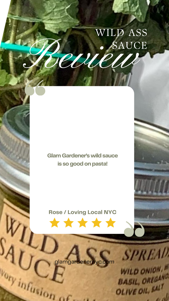 Glam Gardener's Wild Sauce with garlic mustard and wild onion is so good on pasta! Crafted in new york