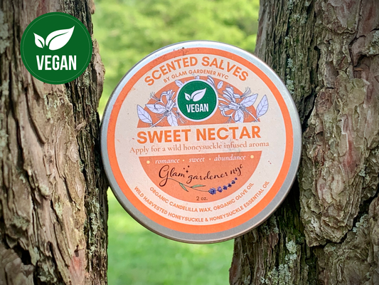 Vegan Sweet Nectar scented salve | natural solid perfume and healing lotion with wild-harvested honeysuckle flowers